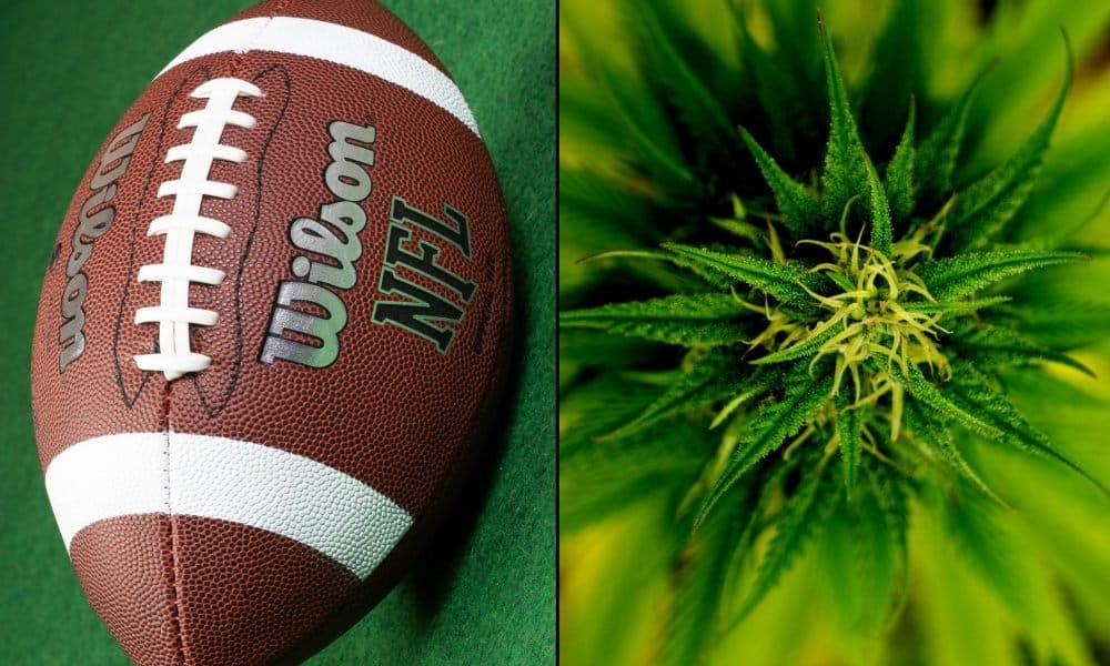 NFL Adopts New Marijuana Policy For Players, Reducing Fines And Increasing THC Limit For Drug Tests - MEDCAN24