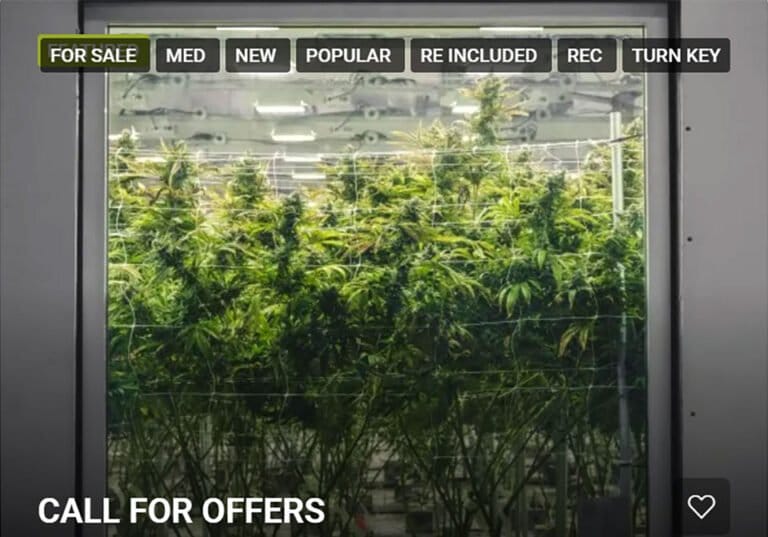 Businesses in receivership flood the market amid cannabis industry challenges - MEDCAN24