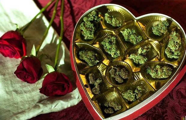 10 Lovely Strains for Valentine’s Day - MEDCAN24