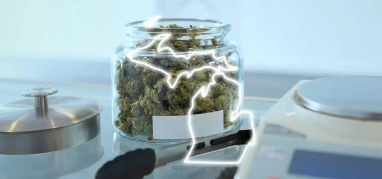 Michigan Gov. Proposes Extending Wholesale Tax to Cannabis Products as Part of Infrastructure Funding Plan - MEDCAN24