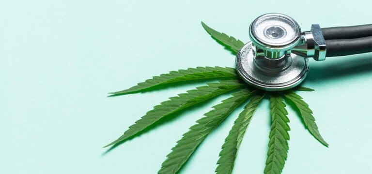 Sondaż: 71% wyborców z Karoliny Północnej popiera legalizację medycznej marihuany - MEDCAN24