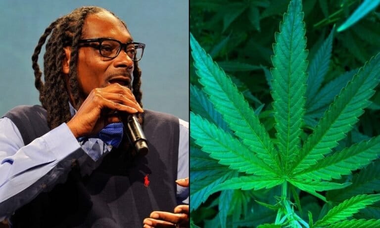 Snoop Dogg Expands Marijuana Empire Again With New Line Of Blunts After Judging Rolling Contest In Vegas - MEDCAN24