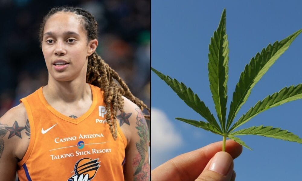 Brittney Griner odwołuje przemówienie na imprezie poświęconej marihuanie po tym, jak odkryła wiadomość z pogróżkami w swoim pokoju hotelowym - MEDCAN24
