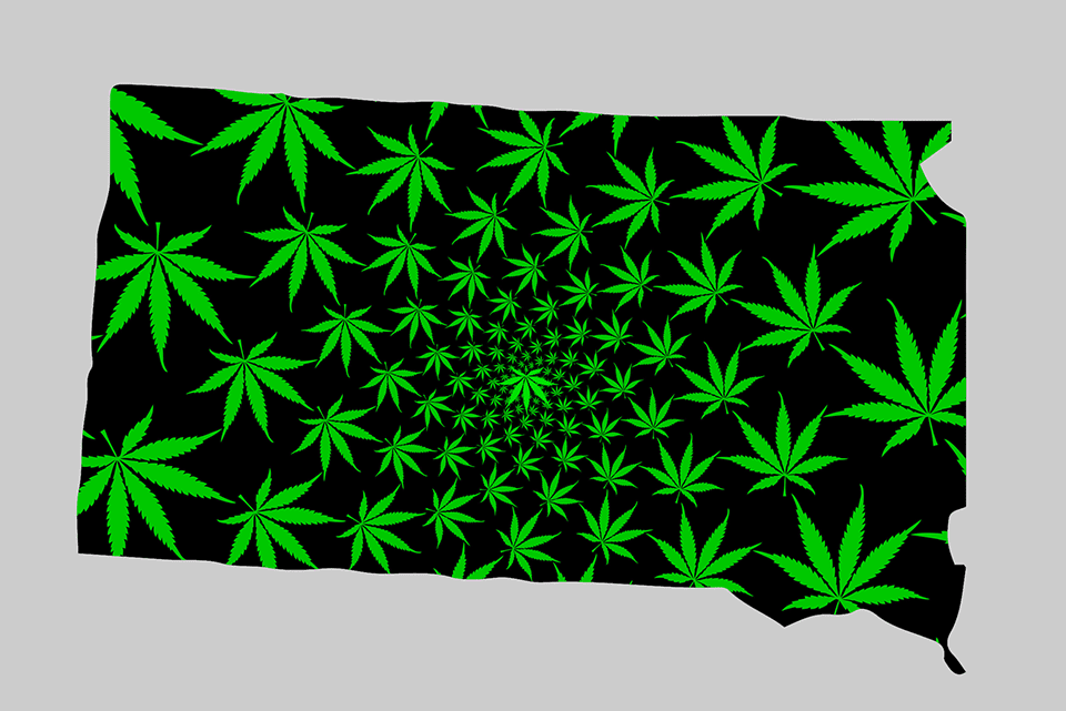 South Dakota legislature blocks attempt to dismantle medical cannabis program South Dakota legislature blocks attempt to dismantle medical cannabis program - MEDCAN24