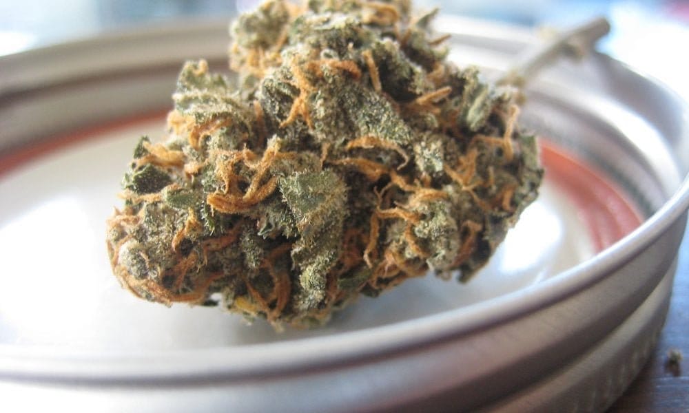 New Hampshire House przyjmuje republikańską ustawę o legalizacji marihuany - MEDCAN24