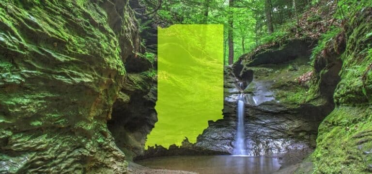 Indiana Cannabis Legalization Bill Fails to Advance - MEDCAN24