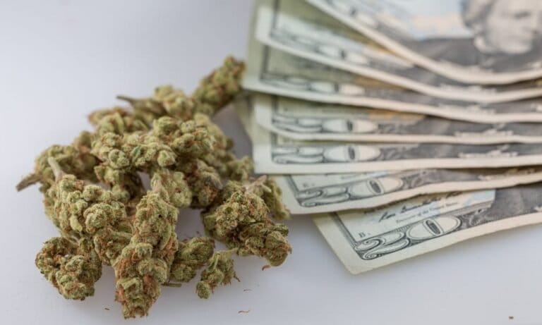 Idaho Governor Signs Bill Setting Mandatory Minimum Fine For Marijuana Possession - MEDCAN24