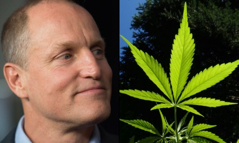 Woody Harrelson chciałby zaprosić Boba Marleya do swojej przychodni z marihuaną, ale obawia się, że legenda reggae by go zadymiła. - MEDCAN24