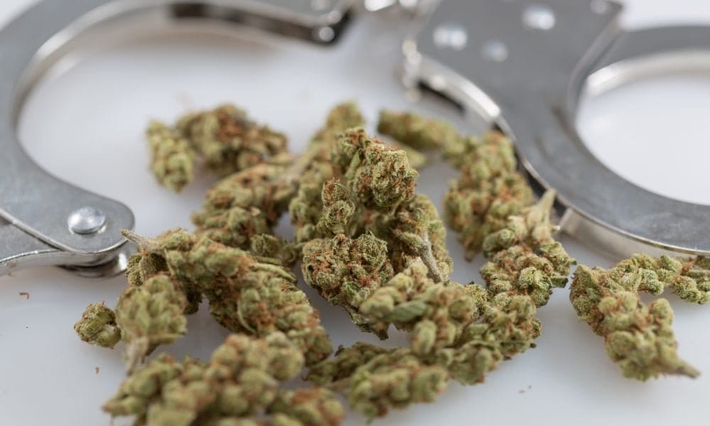 North Dakota House Passes Bill To Expand Marijuana Decriminalization, Making Low-Level Possession A $150 Citation - MEDCAN24