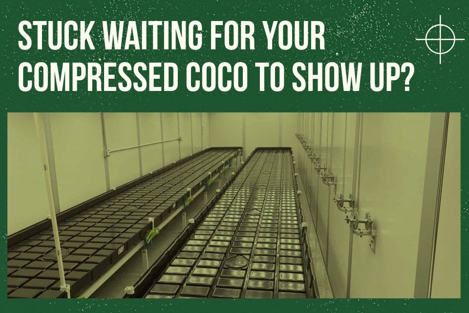 Compressed coco coir supply chain delays cause headaches for cultivators Compressed coco coir supply chain delays cause headaches for cultivators - MEDCAN24