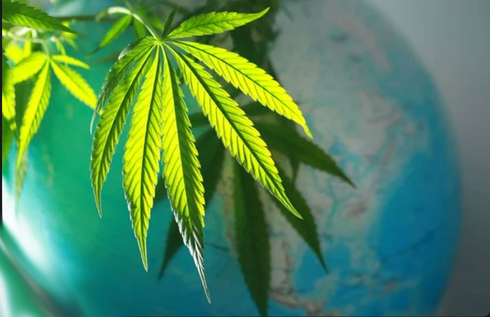 Beyond Germany: Other international markets for cannabis opportunities - MEDCAN24