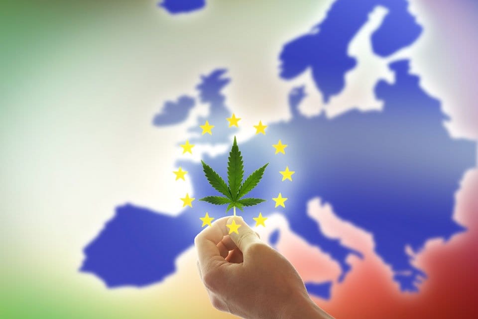 Międzynarodowe rynki konopi mogą oferować lepsze możliwości wzrostu - MEDCAN24