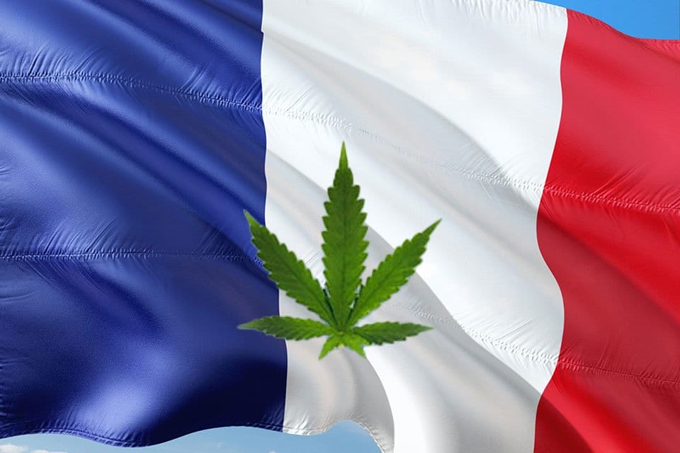 French lawmakers push cannabis legalization plan despite opposition - MEDCAN24
