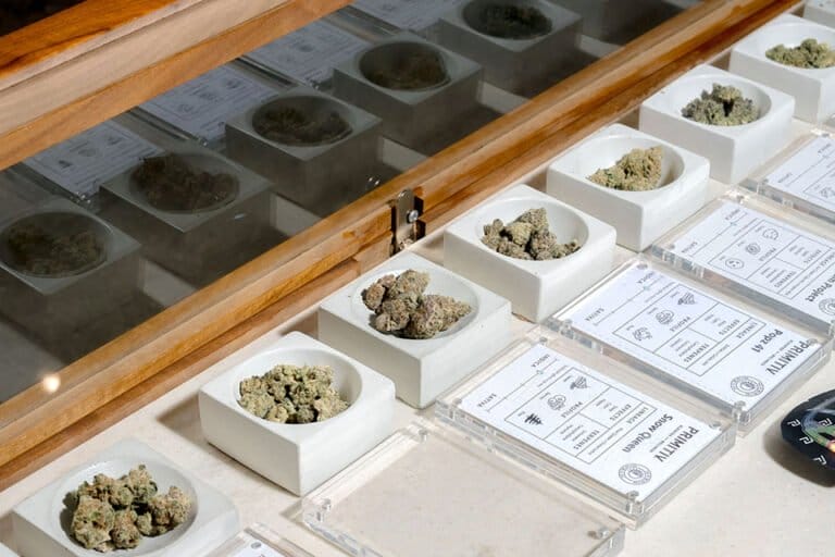 Skymint turns a new leaf as messy receivership nears end - MEDCAN24