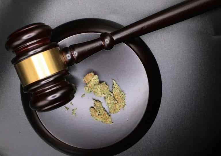 DEA Faces Another Lawsuit Over Handling of Cannabis Rescheduling - MEDCAN24