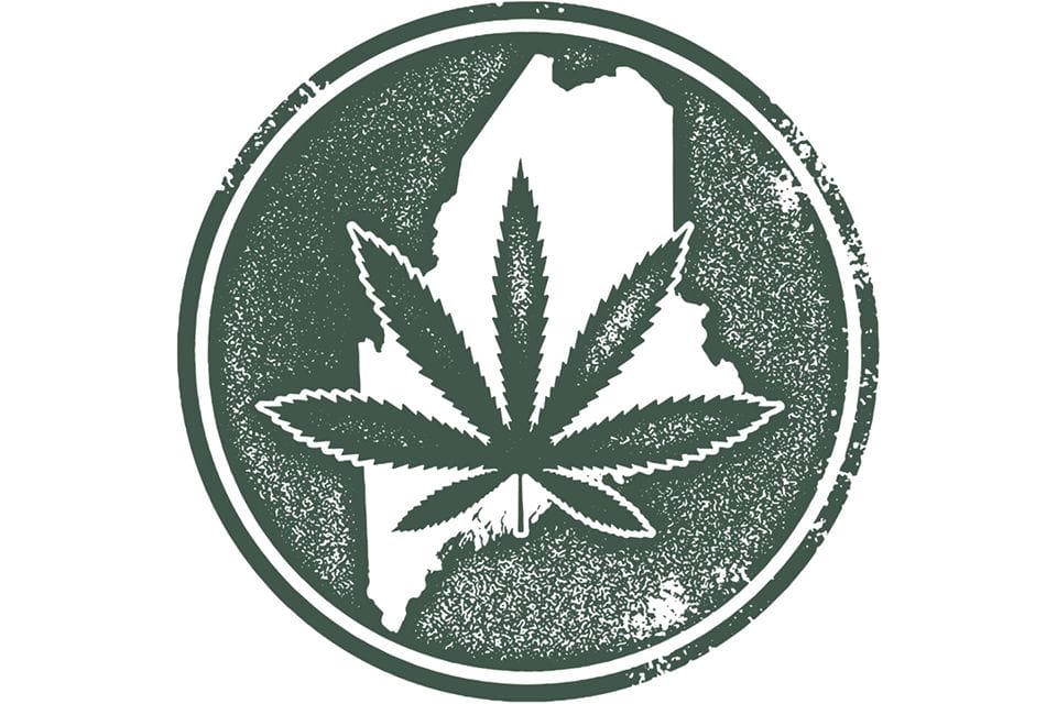 Maine cannabis agency targeted for investigation by state oversight committee Maine cannabis agency targeted for investigation by state oversight committee - MEDCAN24