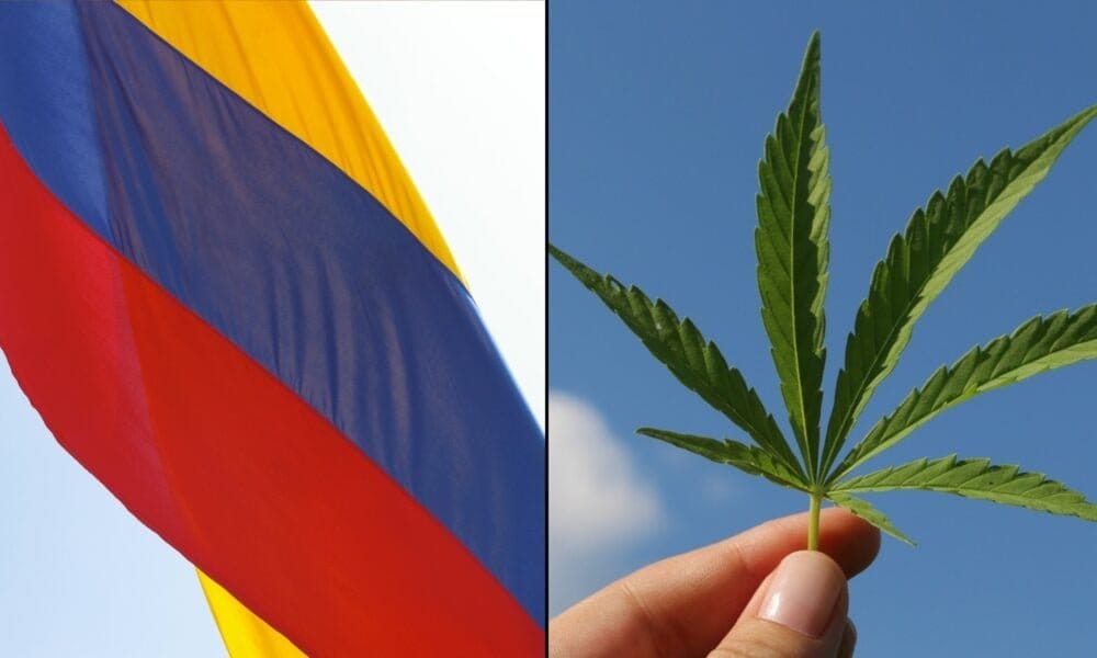 Prezydent Kolumbii wzywa ustawodawców do legalizacji marihuany w celu zwalczania przemocy karteli na nielegalnym rynku - MEDCAN24