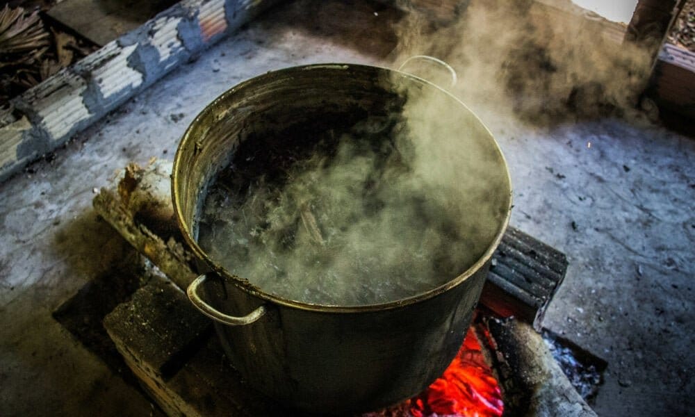 U.S. Embassy Warns Americans Not To Use Traditional Psychedelics In Peru, Including Ayahuasca - MEDCAN24