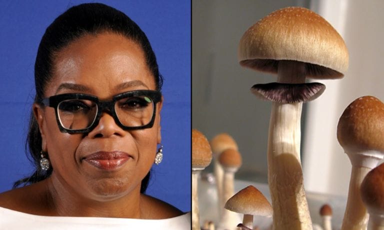 Oprah podkreśla kulturową "zmianę" wokół psychodelików - ale martwi się, że "straci rozum", jeśli będzie eksperymentować - MEDCAN24