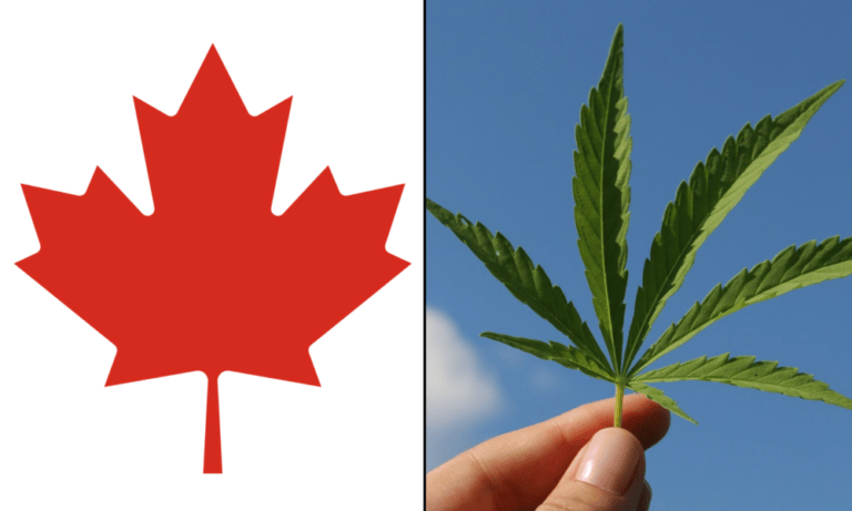 Legalizing Marijuana Was Justin Trudeau’s Greatest Accomplishment, Poll Of Canadians Finds - MEDCAN24