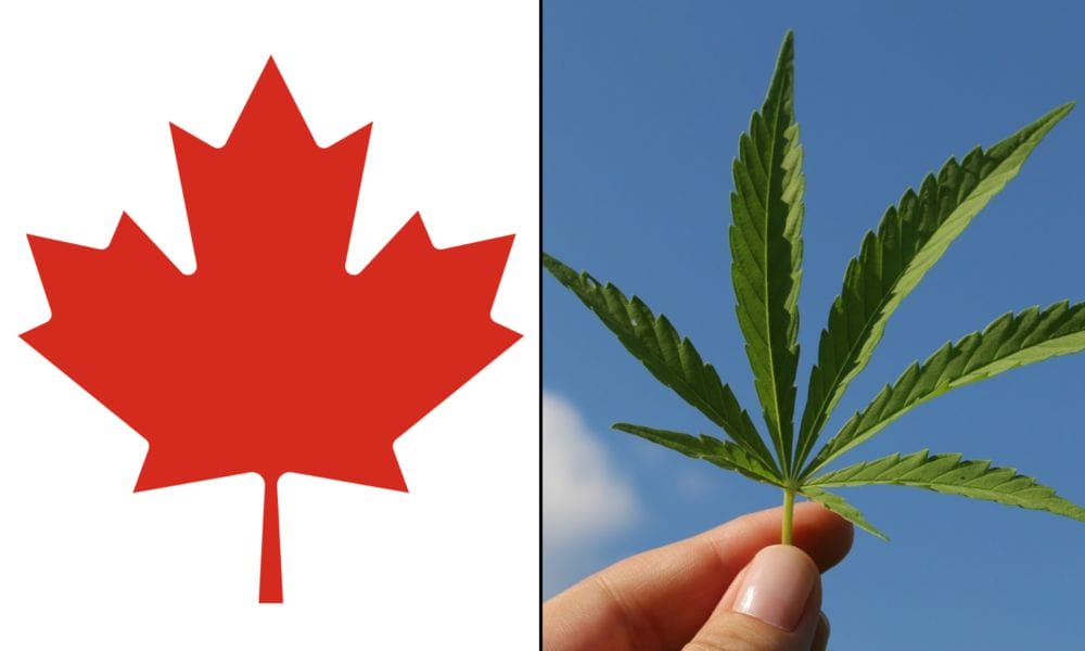 Legalizing Marijuana Was Justin Trudeau’s Greatest Accomplishment, Poll Of Canadians Finds - MEDCAN24