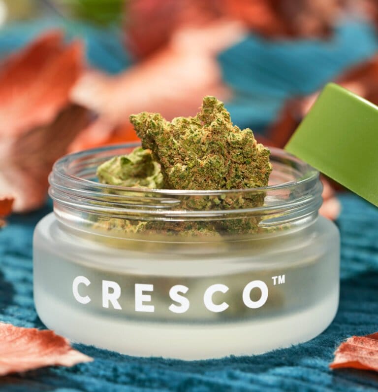 Cresco Labs sees lower revenues but better cash flow - MEDCAN24