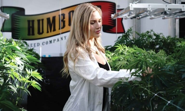 No Seed Limit - MEDCAN24