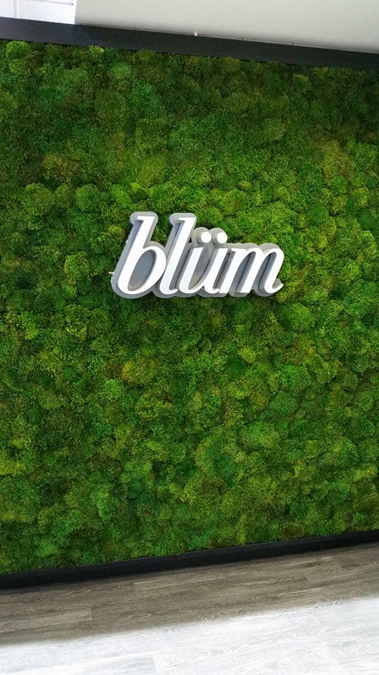 Blüm Holdings zmienia kierunek po restrukturyzacji, odnotowując 67% wzrost przychodów w 2024 r. - MEDCAN24