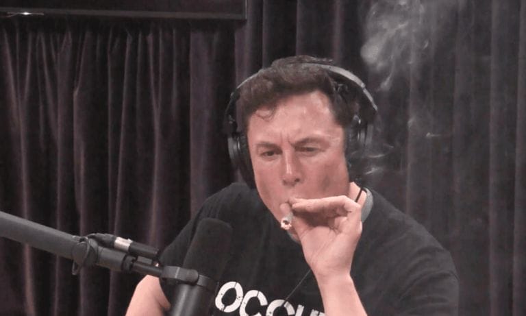 Elon Musk i Ted Cruz żartują z palenia marihuany, aby zwiększyć oglądalność podcastu - MEDCAN24