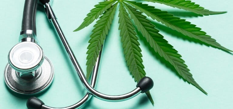 France Files Medical Cannabis Legalization Plan With EU Commission - MEDCAN24