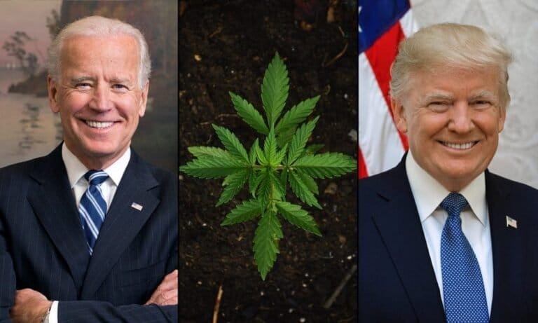 PAC przemysłu marihuany atakuje Bidena i Kanadę w nowych reklamach mających na celu odwołanie się do Trumpa - MEDCAN24