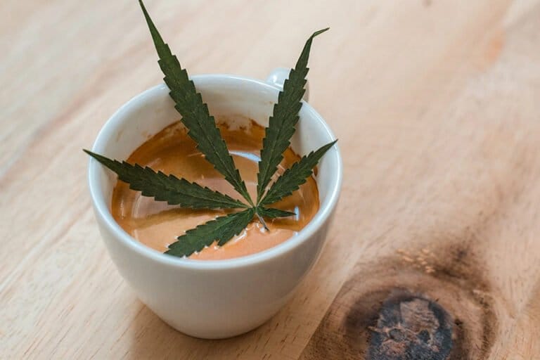 Massachusetts cannabis regulators lay groundwork for social consumption - MEDCAN24