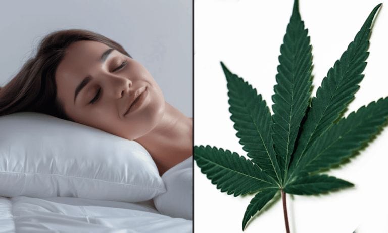Using CBD-Infused Pillowcases Leads To Improved Sleep Quality For Nurses, New Study Finds - MEDCAN24
