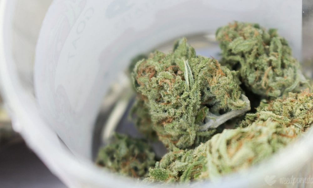 Two Out Of Three Marijuana Consumers Are Buying Less Cannabis Due To Inflation, Poll Finds - MEDCAN24