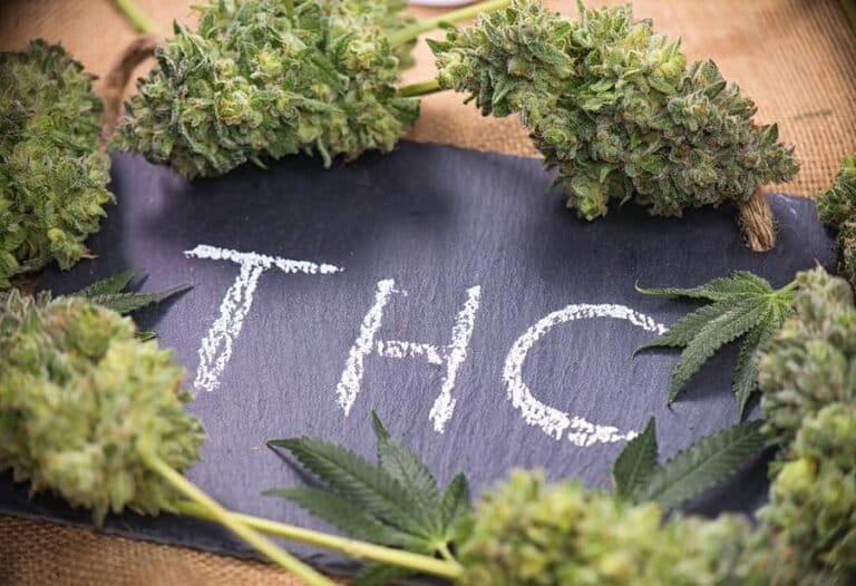 8 Little-Known Benefits of Cannabis THC and Its Real-World Applications - MEDCAN24
