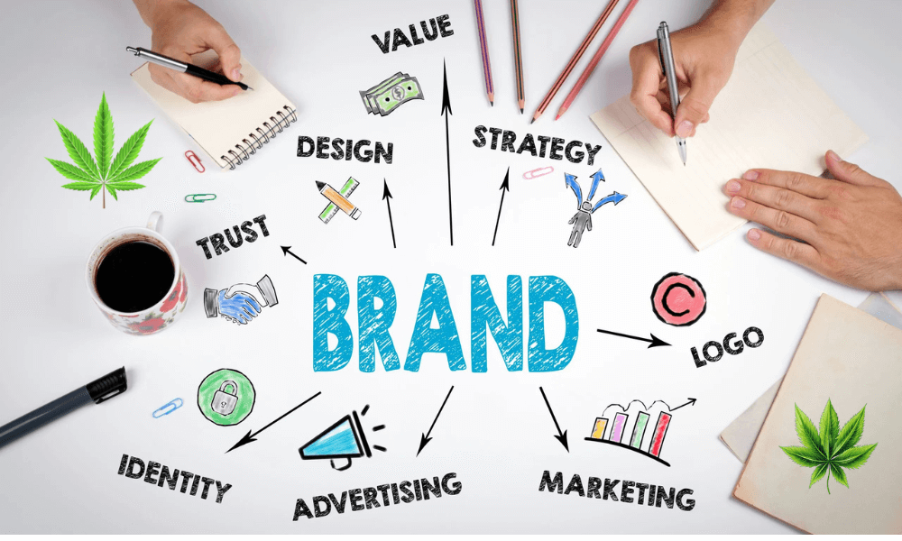Building Cannabis Brands That Connect Across Markets MEDCAN24