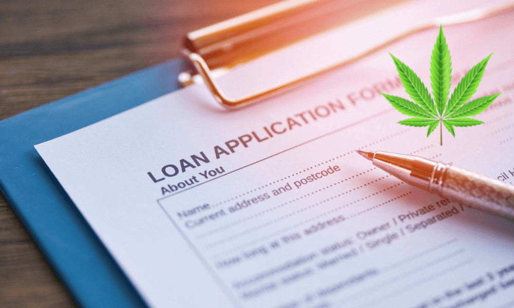 Cannabis Lending in 2025 Unlocking Growth in a Billion-Dollar Industry MEDCAN24
