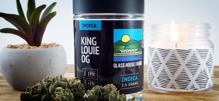 Glass House podpisuje nową umowę zadłużenia na 50 milionów dolarów - MEDCAN24