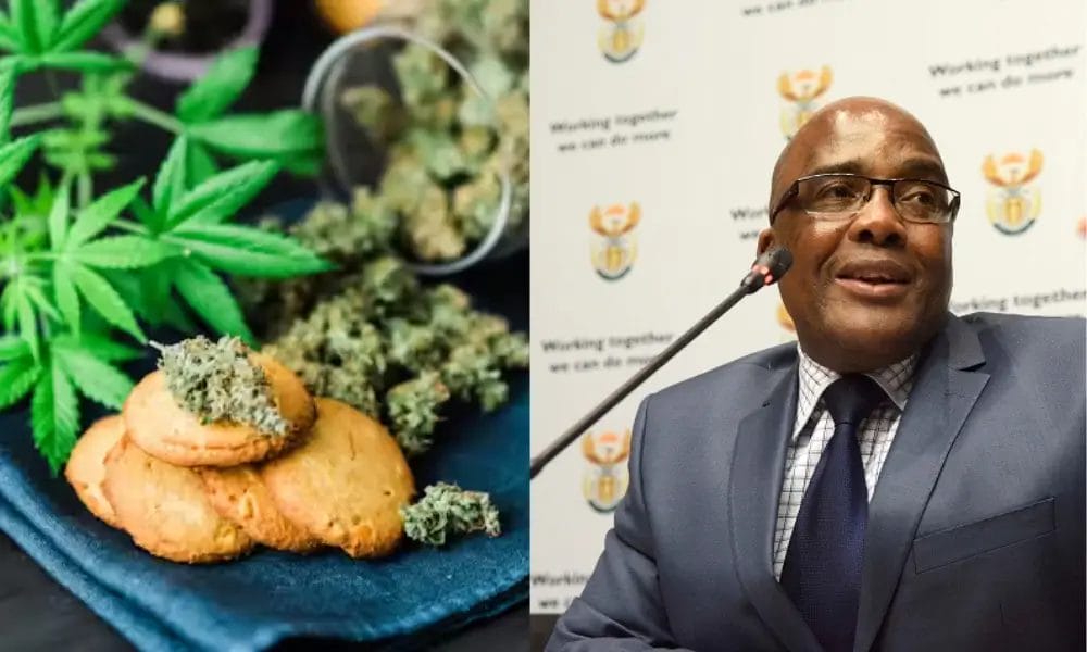 Health Minister’s Cannabis Food Ban Sparks Industry Backlash