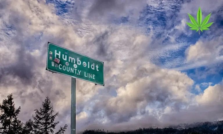 Humboldt County Cannabis Farmers Face License Loss as Tax Deadline Looms