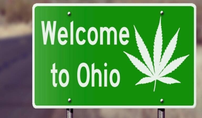 Zwolennicy marihuany krytykują ustawy Ohio próbujące zmienić prawo stanowe - MEDCAN24
