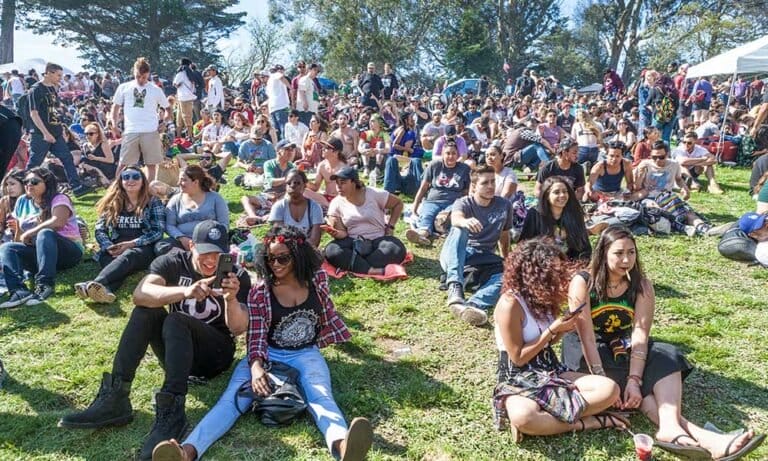Advertisers Are Watching: What Kind of Marijuana User Are You? - MEDCAN24