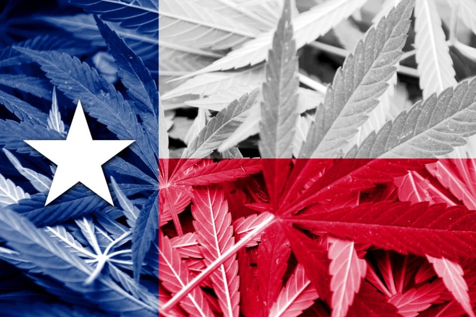 Texas lawmakers consider state-wide ban on most hemp products - MEDCAN24