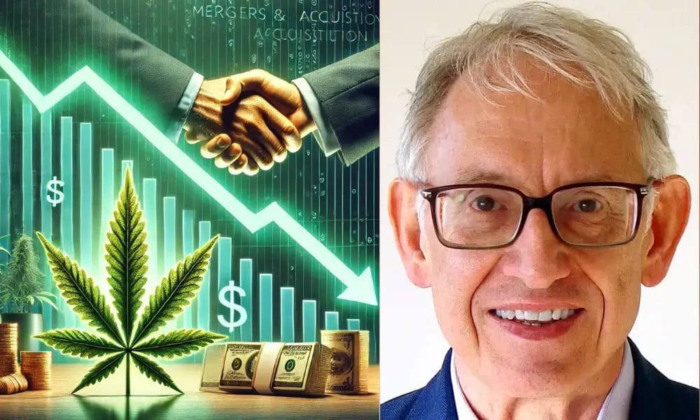What’s Causing the Decline in M&A Activity in the Cannabis Industry