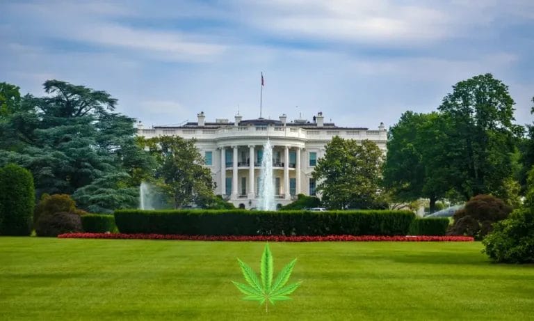 Will Marijuana Rescheduling Happen Under Trump Industry Uncertainty Grows