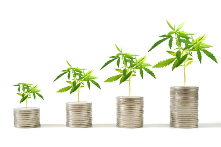 Dividends shine as cannabis company valuations tumble - MEDCAN24