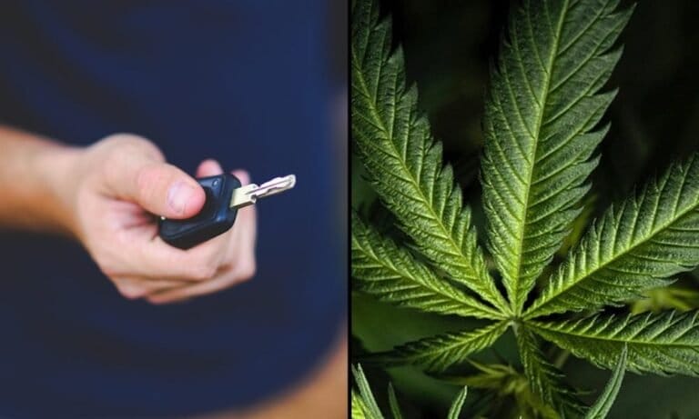 Marijuana Consumers Respond Better To ‘Realistic’ Anti-Impaired Driving Message That Avoid Stoner Stereotypes, AAA Study Finds - MEDCAN24