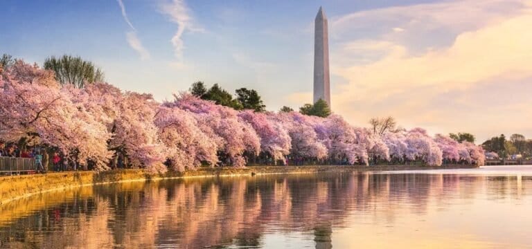 Trump Admin Derides D.C. Cannabis Decriminalization Policy - MEDCAN24