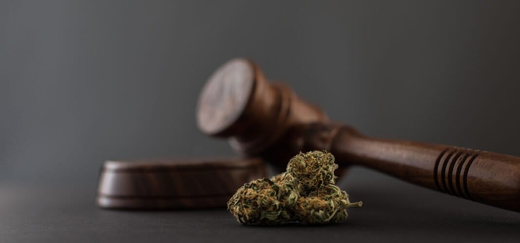 U.S. Federal Charges for Cannabis Trafficking Hit All-Time Low - MEDCAN24