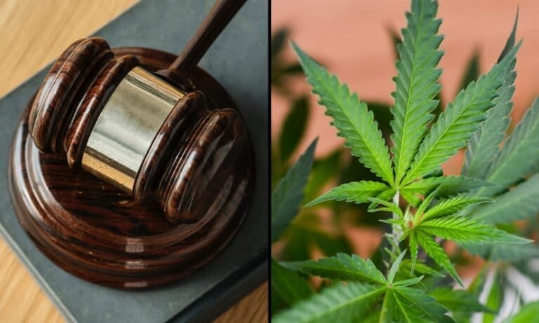 Florida Judge Dismisses Marijuana Company’s Defamation Lawsuit Against State Republican Party Over Legalization Campaign - MEDCAN24